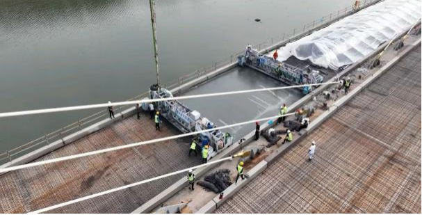 蟠龙8.png 蟠龙8.png