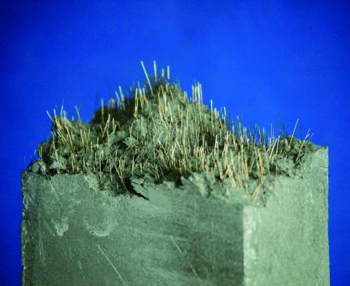 u=4031413777,2112219272&fm=26&gp=0.jpg u=4031413777,2112219272&fm=26&gp=0.jpg